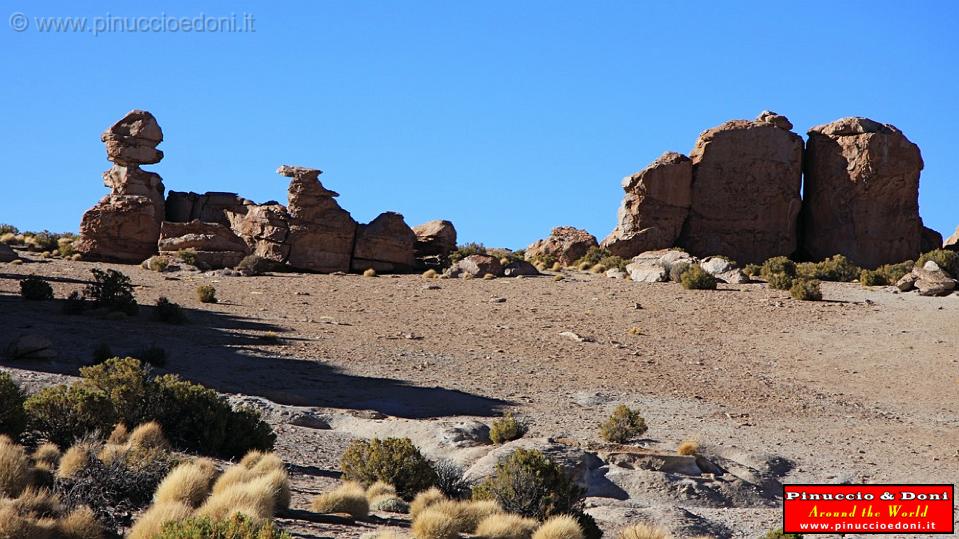 BOLIVIA - da Uyuni a Villamar - 33.jpg